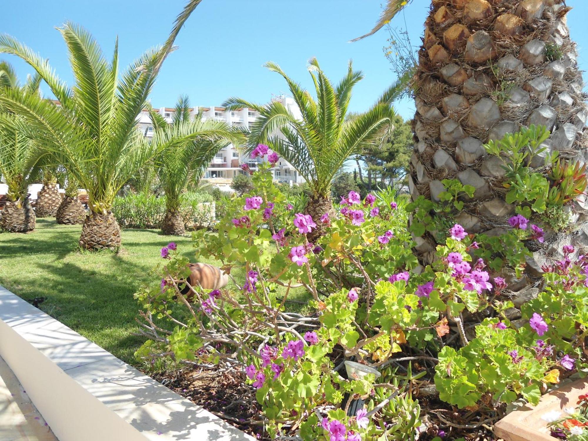 Grand Hotel Palladium Santa Eulalia del Río Esterno foto